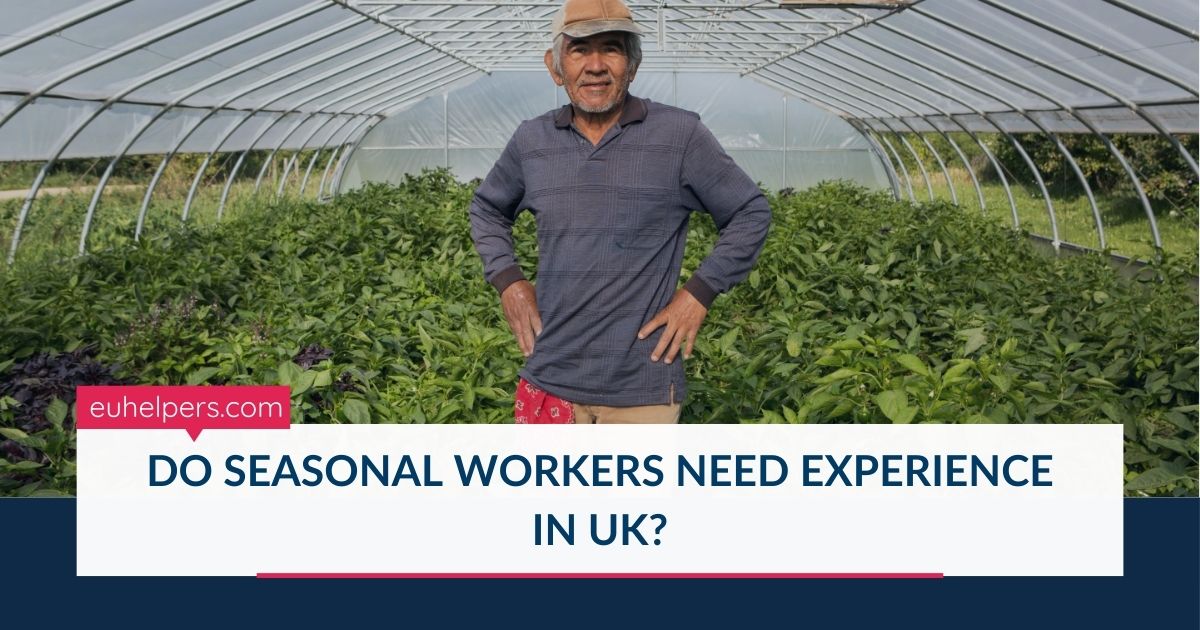 do-seasonal-workers-need-experience-in-uk.jpg
