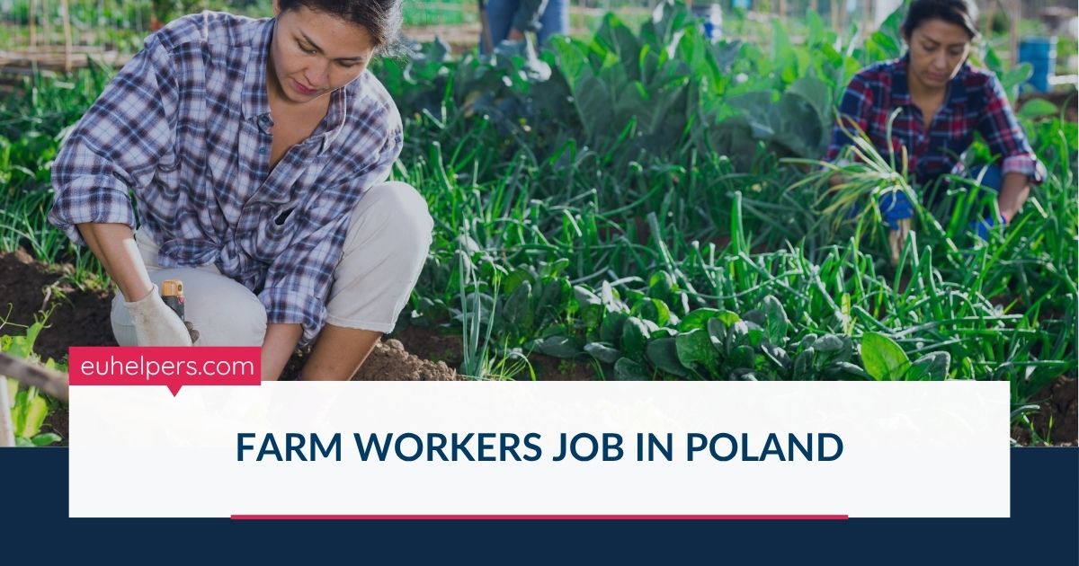 farm-workers-job-in-poland.jpg