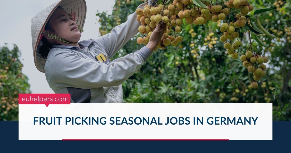 fruit-picking-seasonal-jobs-in-germany.jpg