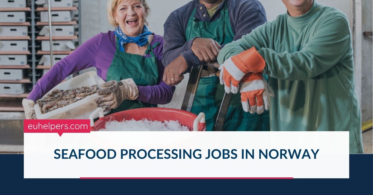 seafood-processing-jobs-in-norway.jpg
