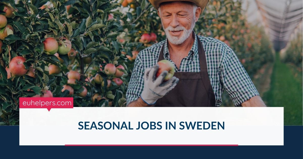 seasonal-jobs-in-sweden.jpg
