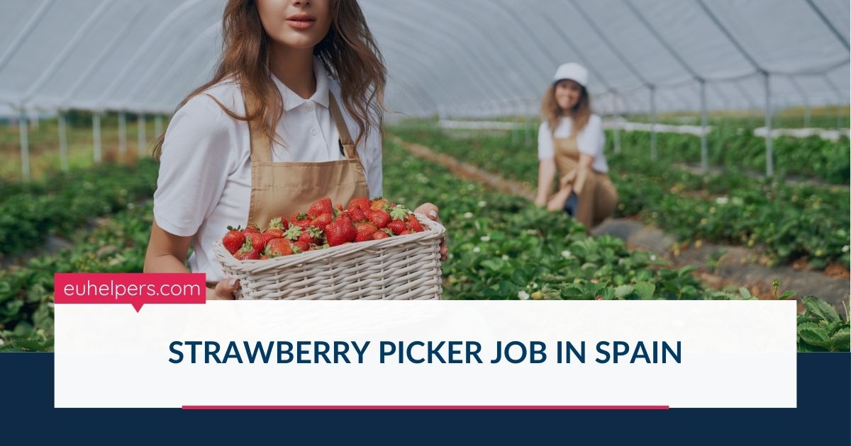 strawberry-picker-job-in-spain.jpg