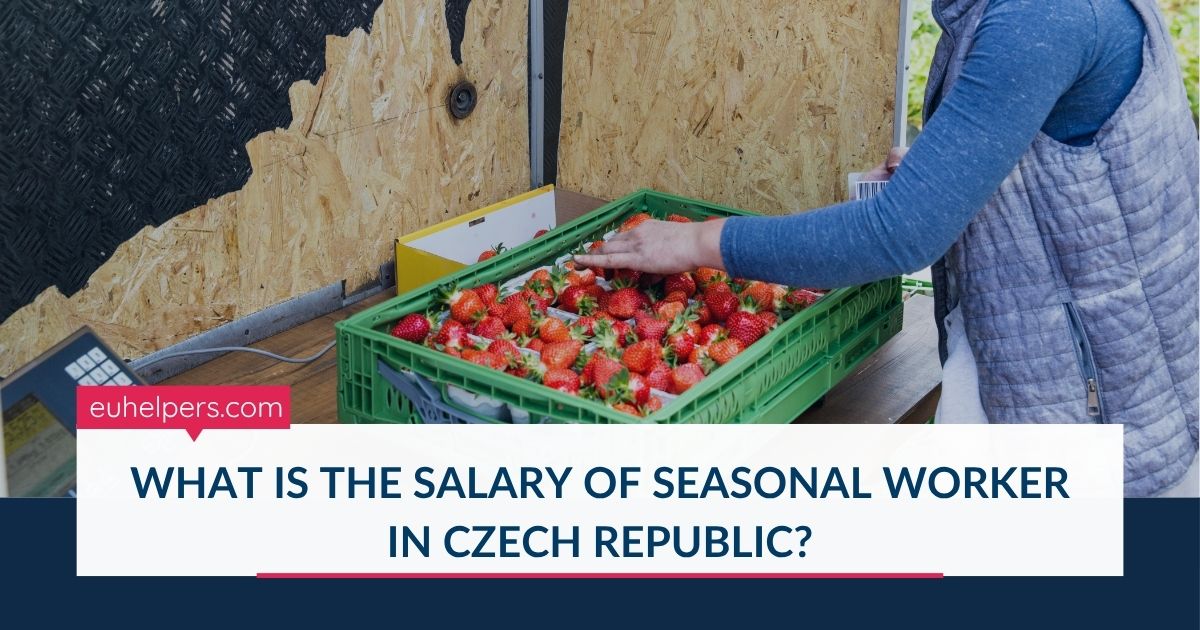 what-is-the-salary-of-seasonal-worker-in-czech-republic.jpg what-is-the-salary-of-seasonal-worker-in-czech-republic.jpg