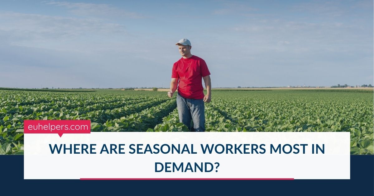 where-are-seasonal-workers-most-in-demand.jpg