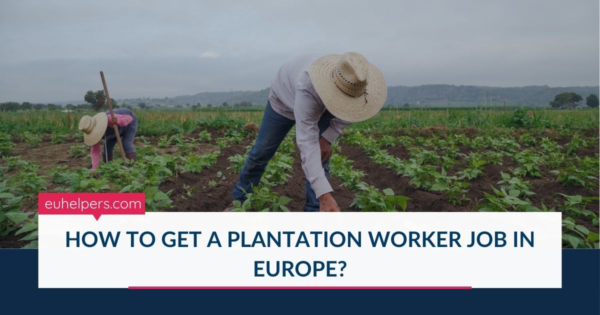 how-to-get-a-plantation-worker-job-in-europe.jpg