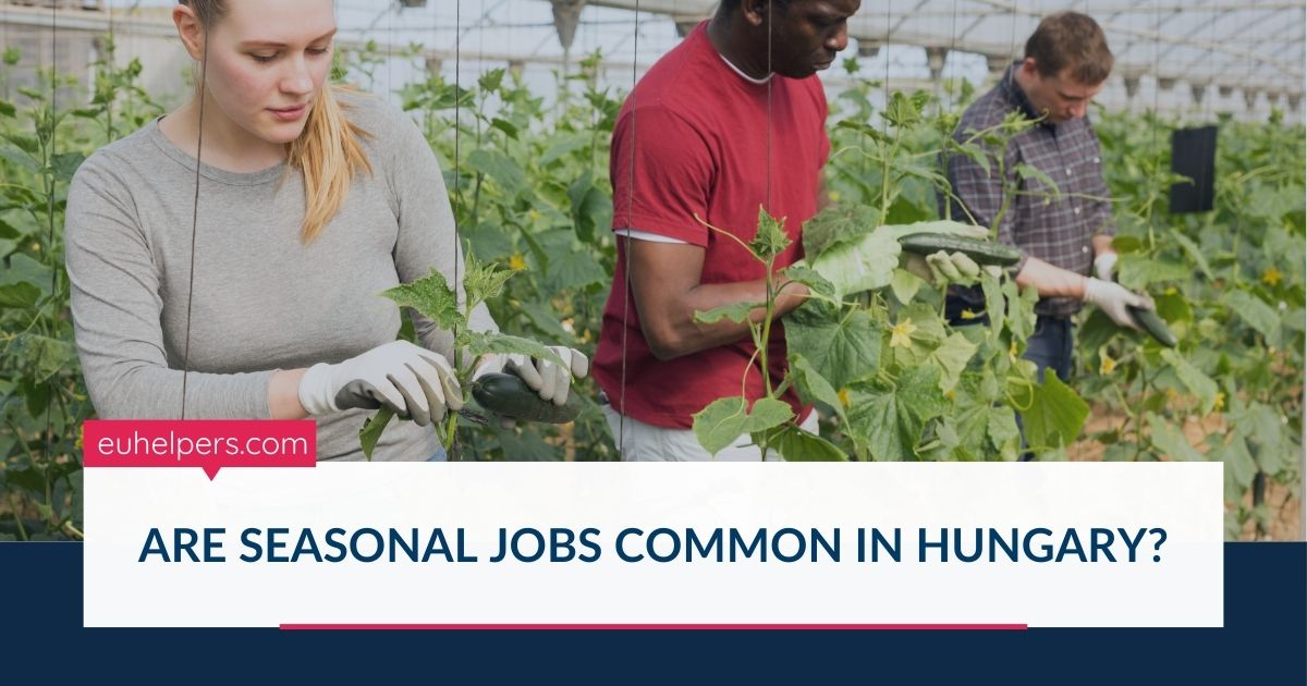 are-seasonal-jobs-common-in-hungary.jpg