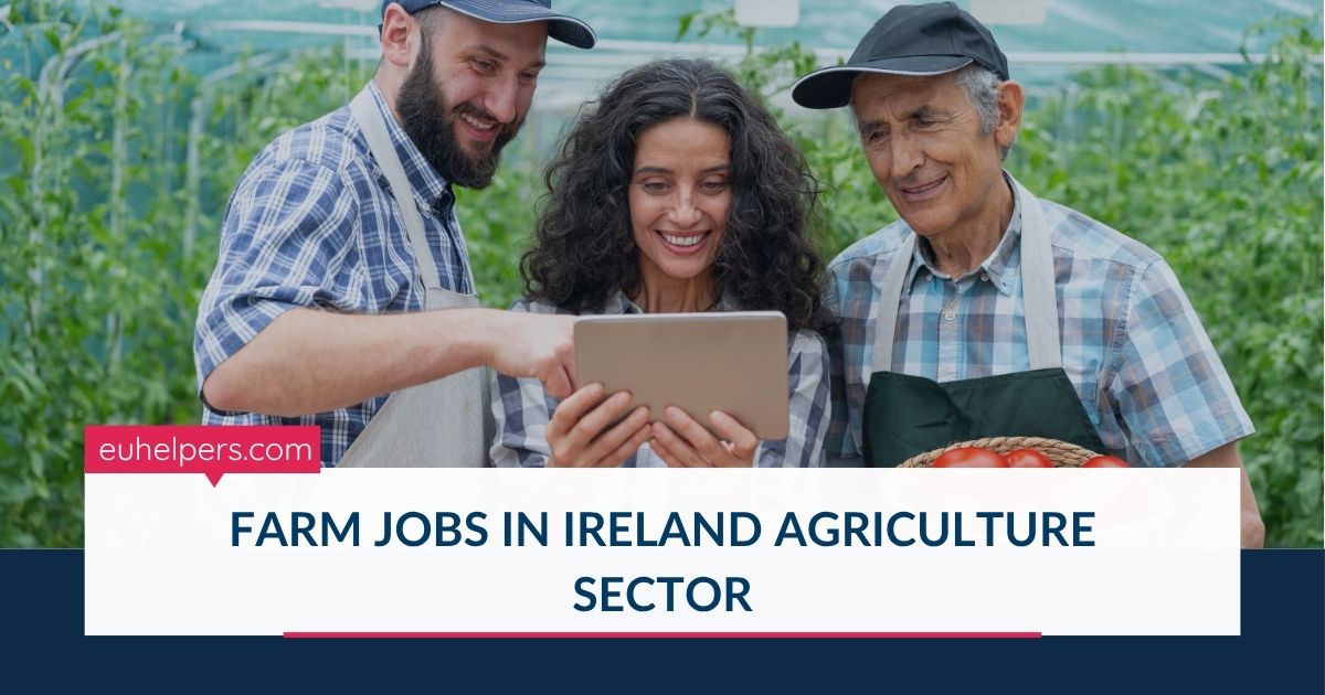 farm-jobs-in-ireland-agriculture-sector.jpg