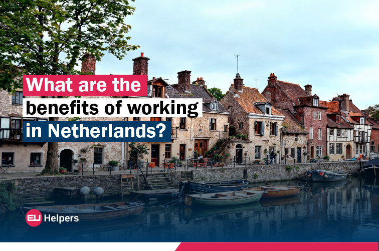 what-are-the-benefits-of-working-in-netherlands.jpg