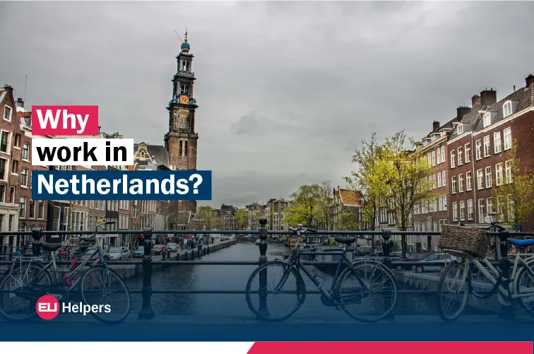 why-work-in-netherlands.jpg